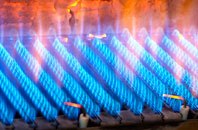 Worlebury gas fired boilers